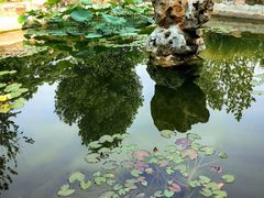 -国家植物园南园