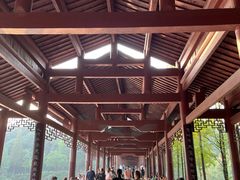 -重庆彩云湖湿地公园