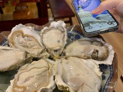 -冯姐生蚝(长隆横琴店)