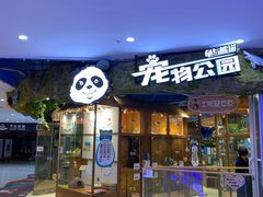 -龟与熊猫宠物公园(南坪店)