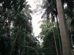 -南宁南湖公园