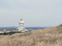 -涉地可支