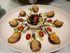 火爆鲜鲍-尘香•传统川菜(创汇首座店)