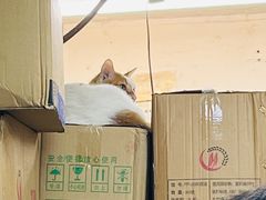-凤城康记饭店