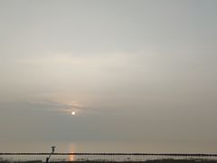 -上海南汇嘴大堤酒店