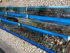 -港畔赶海蒸汽海鲜烧烤自助(仙螺岛店)