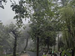 -莫干山风景区