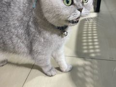 -Oasis绿洲银饰珍珠手作diy(壹方城店)