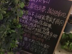 -有猫主题·治愈系猫咖(曾厝垵店)