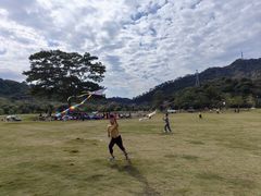 -风云岭森林公园