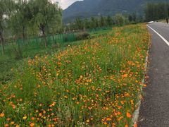 -田峪河公园