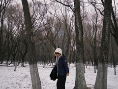 -长白岛森林公园