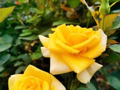 -人民公园(罗湖区)