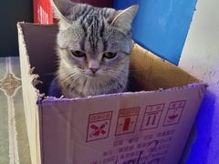 -神盾局科技密室(永川万达广场店)