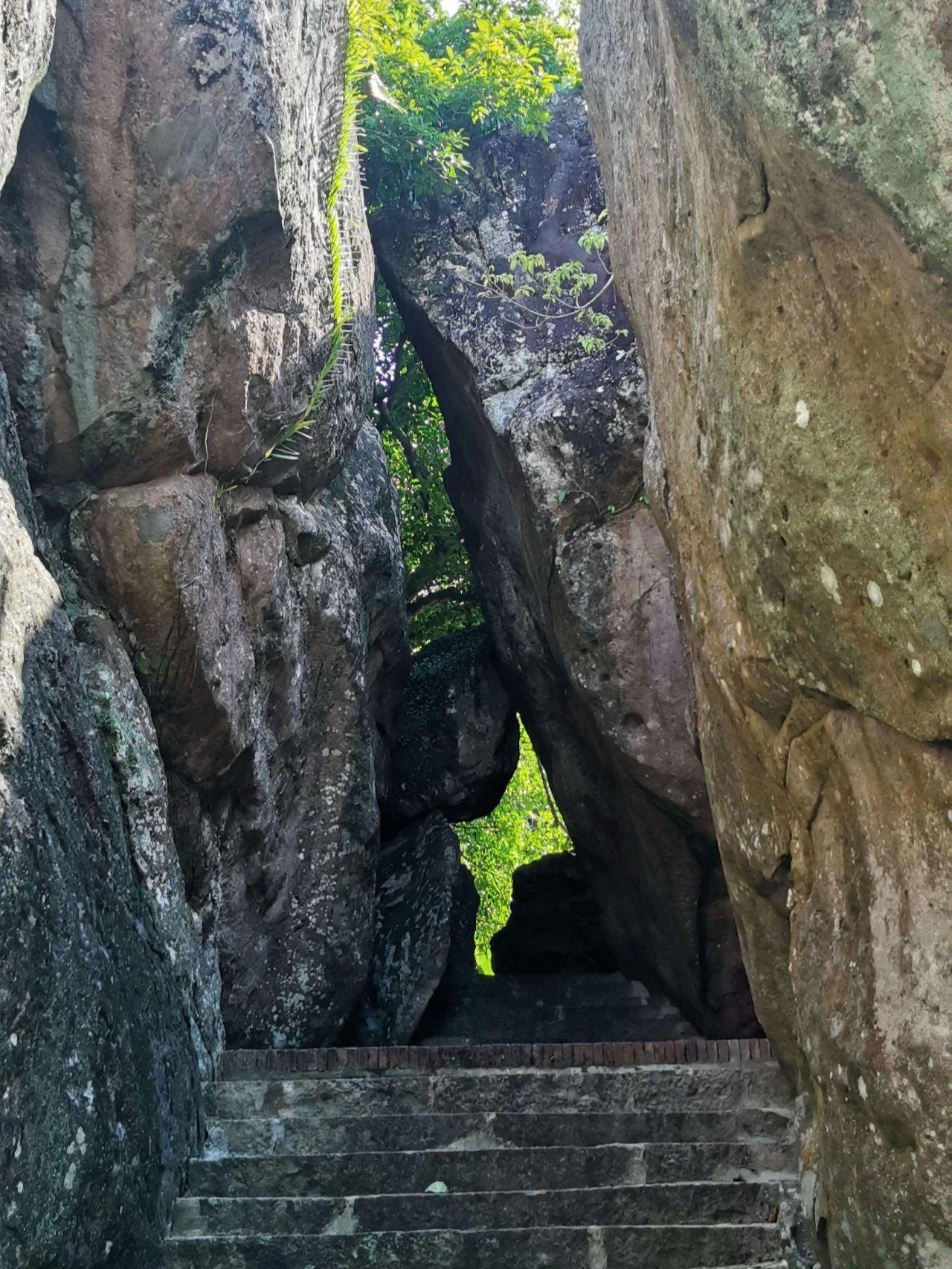 登高岭是白石岭最高峰,海拔328米.