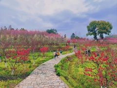-常德桃花源景区