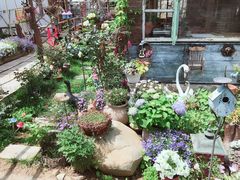 -荒度咖啡(北九水店)