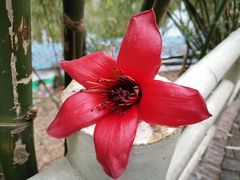 -晓港公园