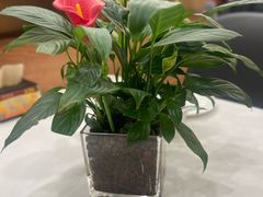 -红菜坊·烤鸭·川鲁宴(石园店)