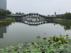-西海子公园