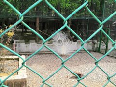 -南京金牛湖风景区