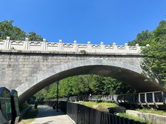 -白水寺森林公园