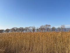 -野鸭湖国家湿地公园