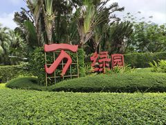 -万绿园