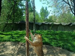 -北京野生动物园