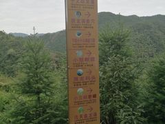 -磐安十八涡风景区