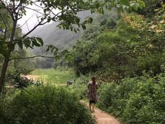 -抱龙峪