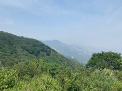 -阳台山自然风景区