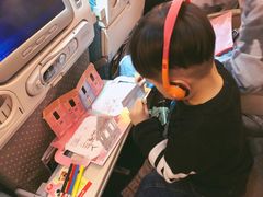 -新加坡航空公司(ION)