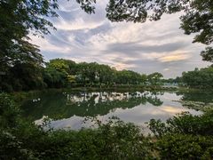 -金银湖国家城市湿地公园