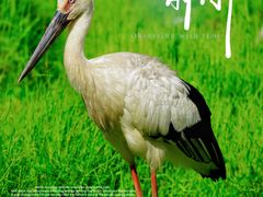 -普洱太阳河森林公园