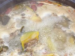-花苑美食横琴生蚝火锅(拱北粤华路店)