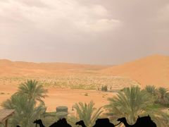 -阿布扎比沙漠皇宫酒店水疗中心