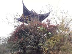 -西湖风景区十里琅珰-五云山