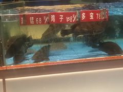 -皮记海鲜1995(寮步店)