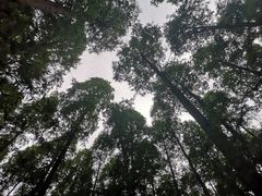 -上海怡沁园度假酒店