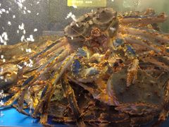 -蟹之国·精品蟹料理(极地店)