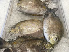 -Isla Sugbu Seafood City