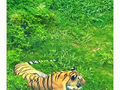 -泉州海丝野生动物世界