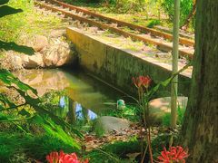 -共青国家森林公园-售票处