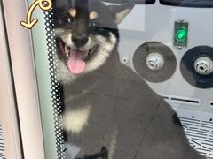 -FAELING PETS美天灵宠物(富力广场店)