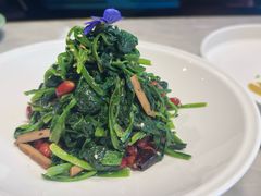 -北平盛世·新京菜·北京烤鸭(劲松·双井店)