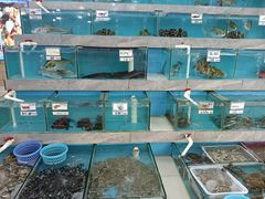 -考记泥焗鸡农庄·海鲜(北洛秘境店)