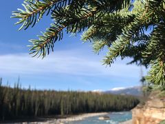 -阿萨巴斯卡瀑布观景点