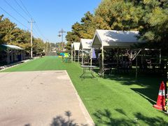 -尚庄度假村·庭台树下·户外烧烤·团建CS·轰趴营地(上庄水库店)