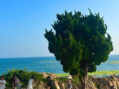 -小麦岛公园